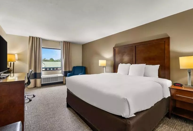 酒店 Comfort Inn & Suites Chipley I10