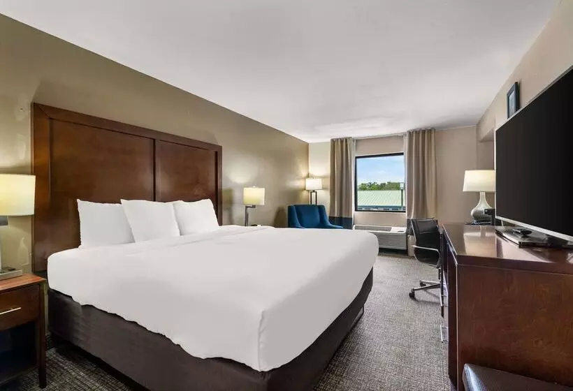 酒店 Comfort Inn & Suites Chipley I10