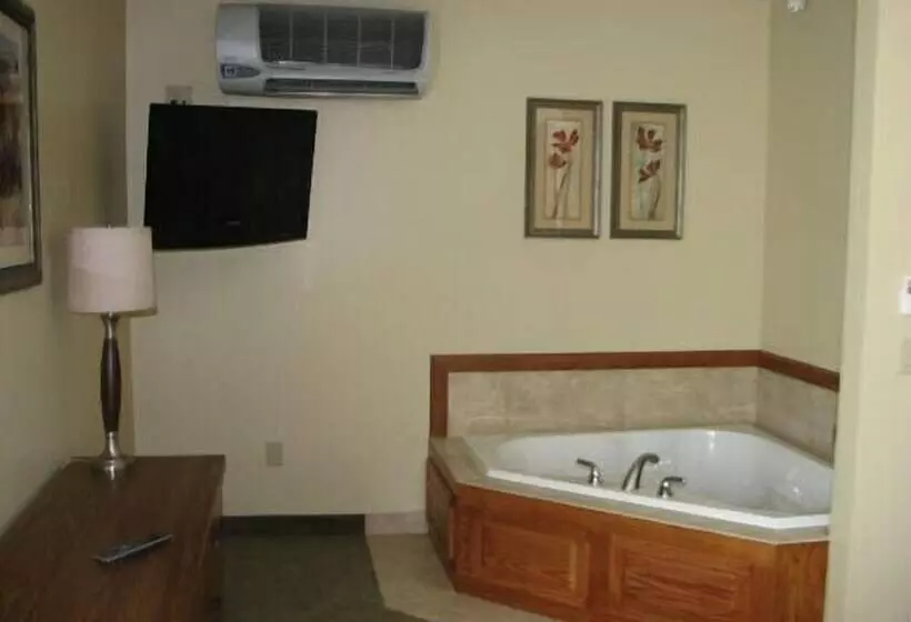 酒店 Randolph Inn And Suites