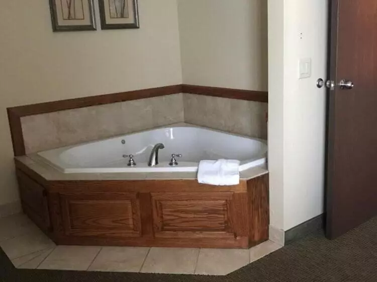 酒店 Randolph Inn And Suites