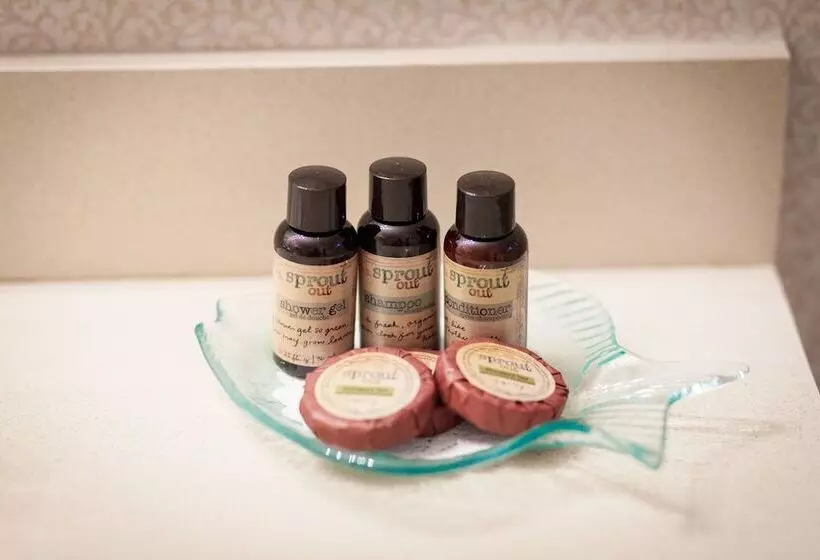 فندق The Inn At Camden Place