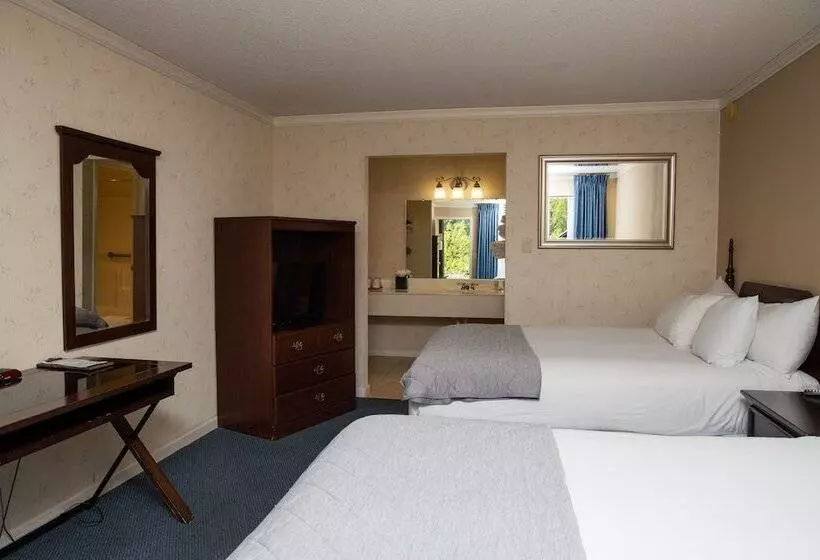 호텔 The Occidental Lodge