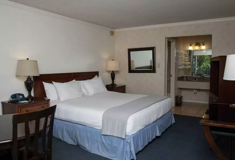 호텔 The Occidental Lodge