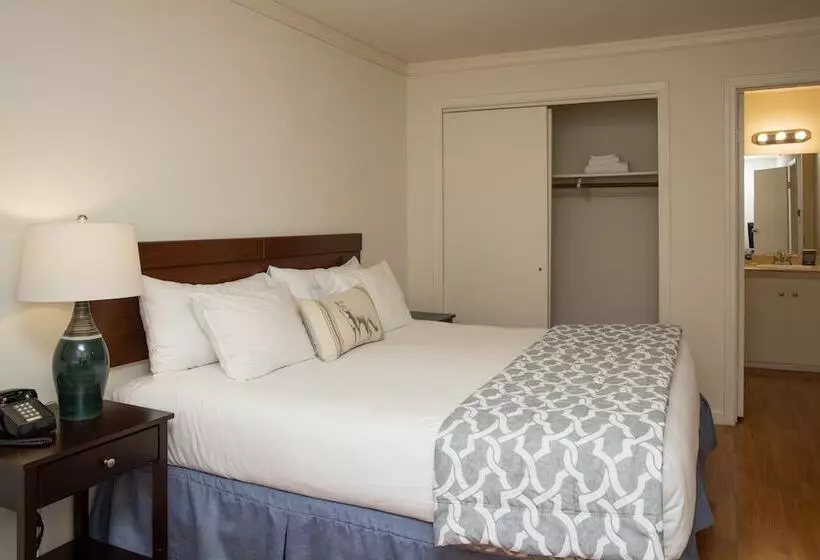 호텔 The Occidental Lodge