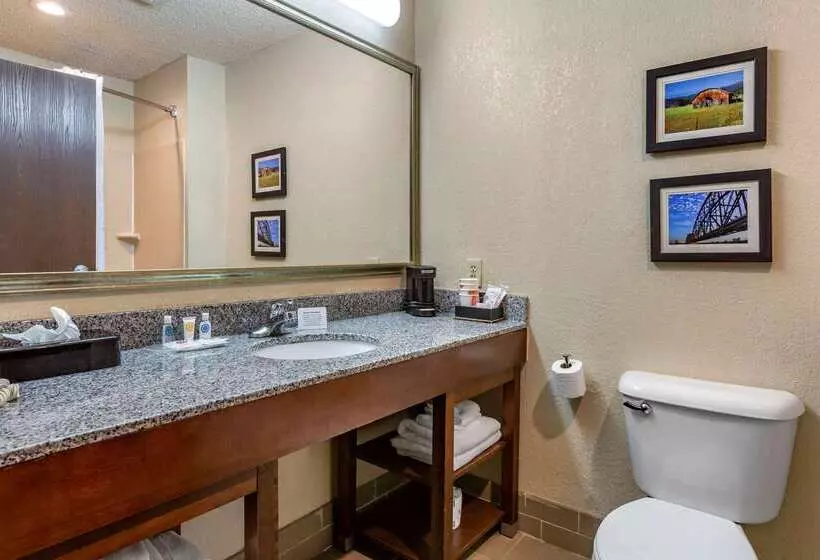 ホテル Comfort Suites Jonesboro University Area
