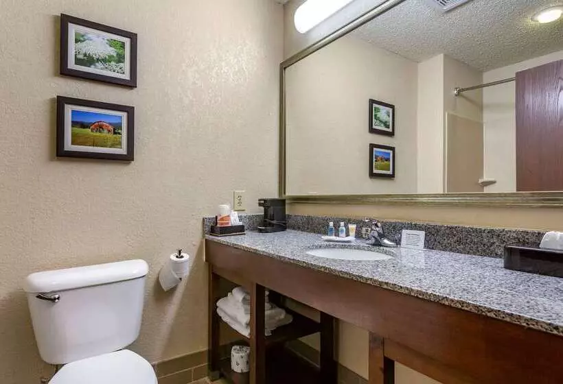 ホテル Comfort Suites Jonesboro University Area