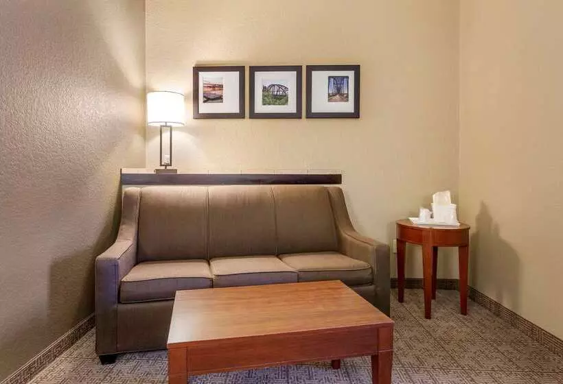 ホテル Comfort Suites Jonesboro University Area
