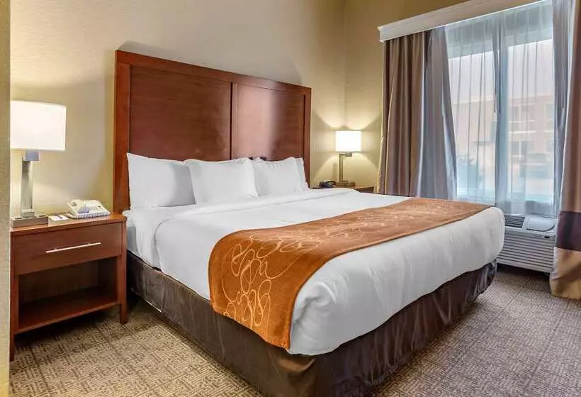ホテル Comfort Suites Jonesboro University Area