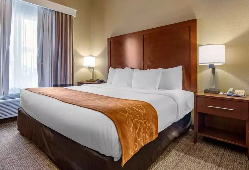 ホテル Comfort Suites Jonesboro University Area