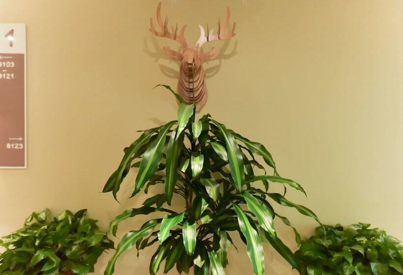 בית מלון כפרי Ibis Xiamen Kaiyuan