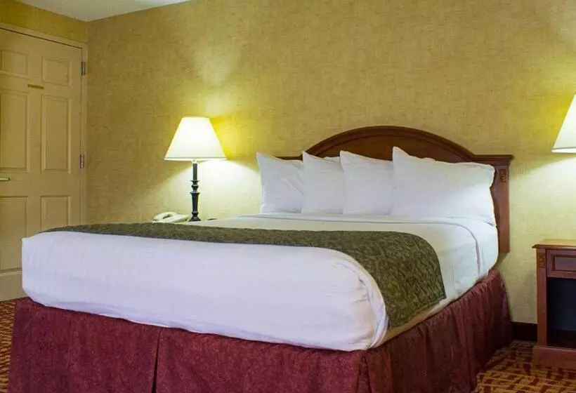ホテル Rodeway Inn Columbia Mall Loop