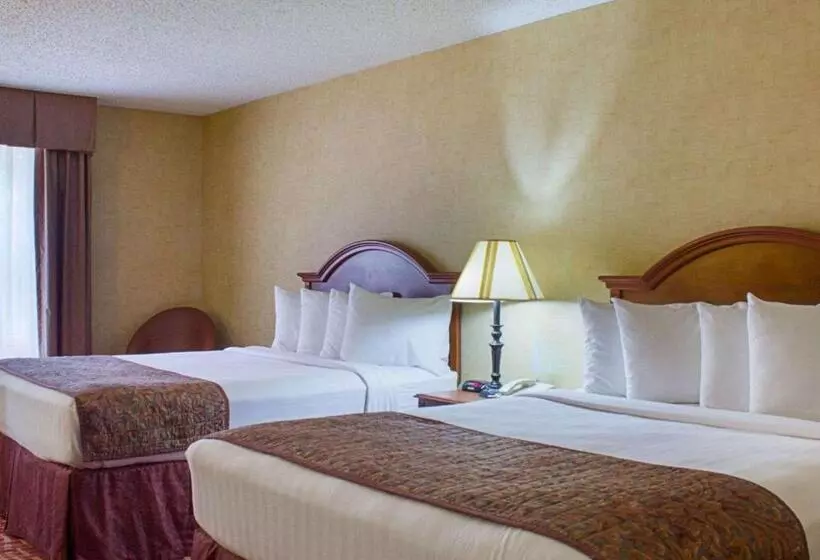 ホテル Rodeway Inn Columbia Mall Loop