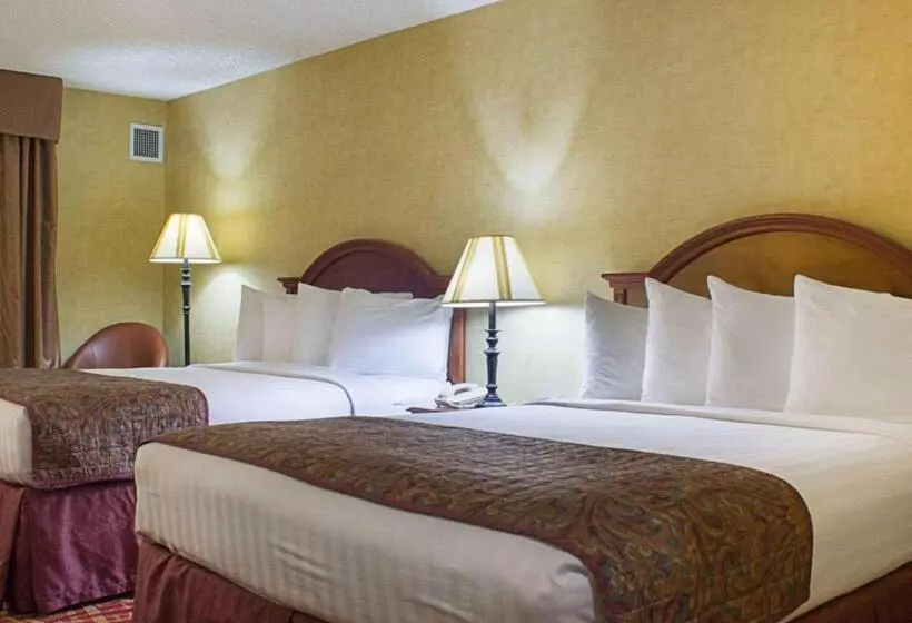 ホテル Rodeway Inn Columbia Mall Loop