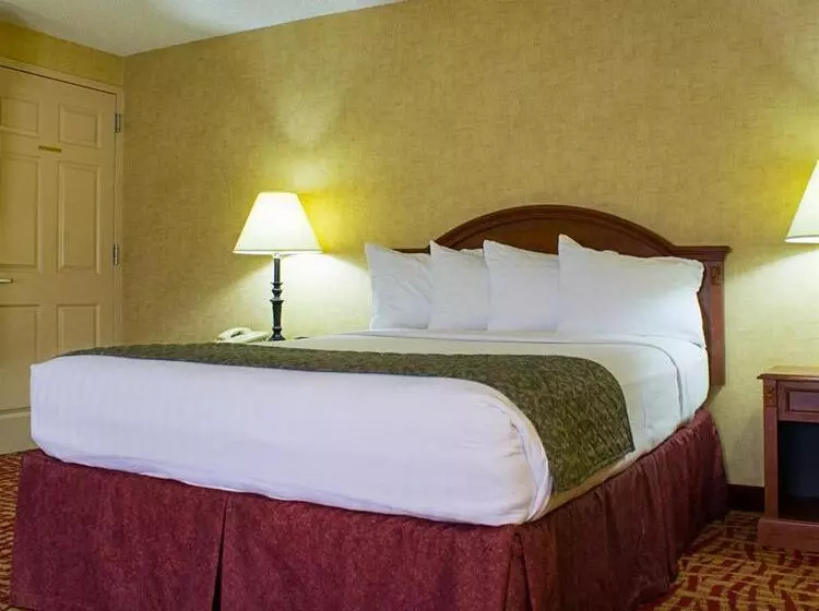 ホテル Rodeway Inn Columbia Mall Loop