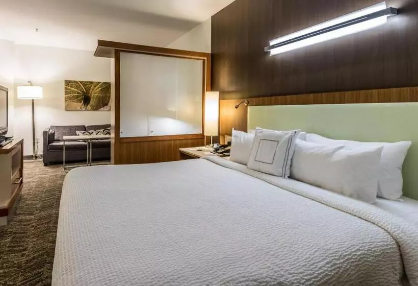 Springhill Suites Statesboro University Area