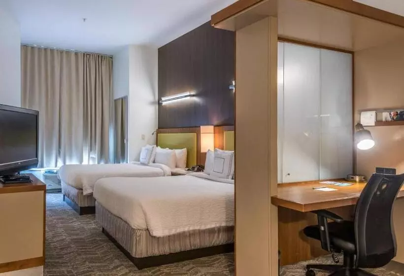 Springhill Suites Statesboro University Area