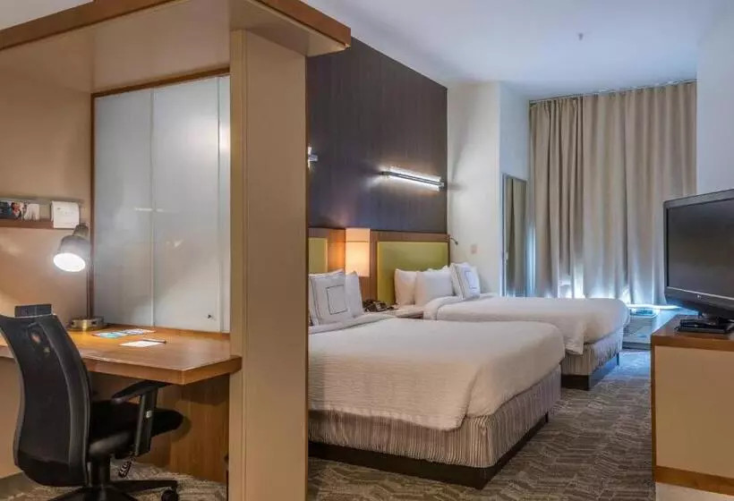 Springhill Suites Statesboro University Area