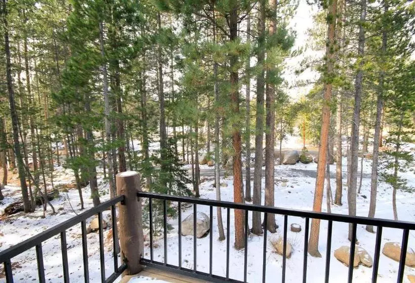 Forest Creek #3, Pet Accepted