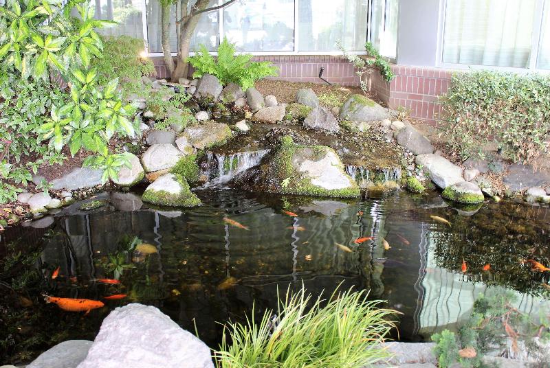 בית מלון כפרי Medallion Inn And Suites