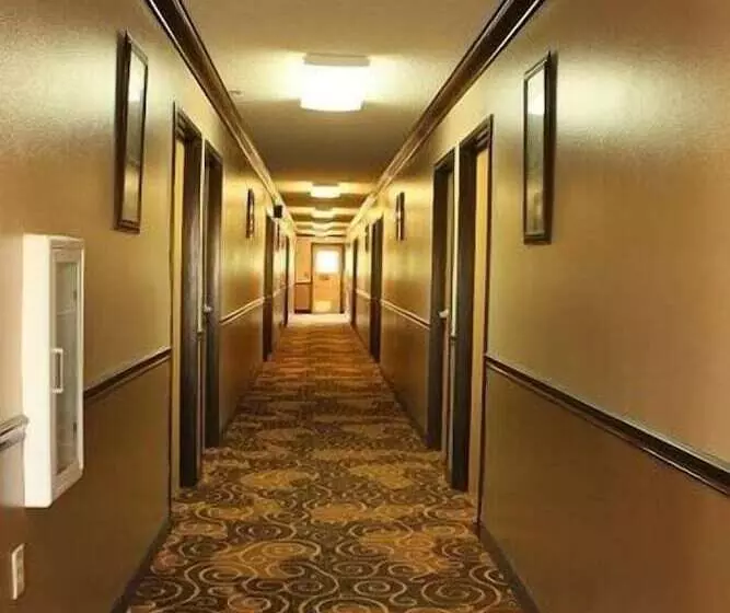 ホテル Holiday Lodge