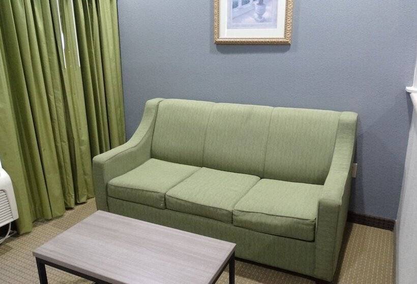 فندق Regency Inn And Suites Humble