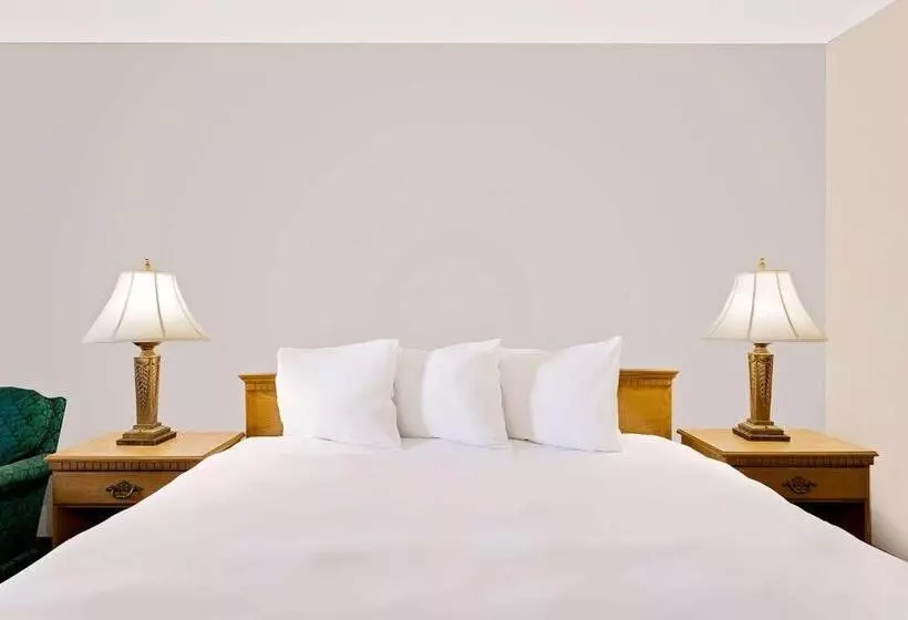 Отель Silver Queen Inn