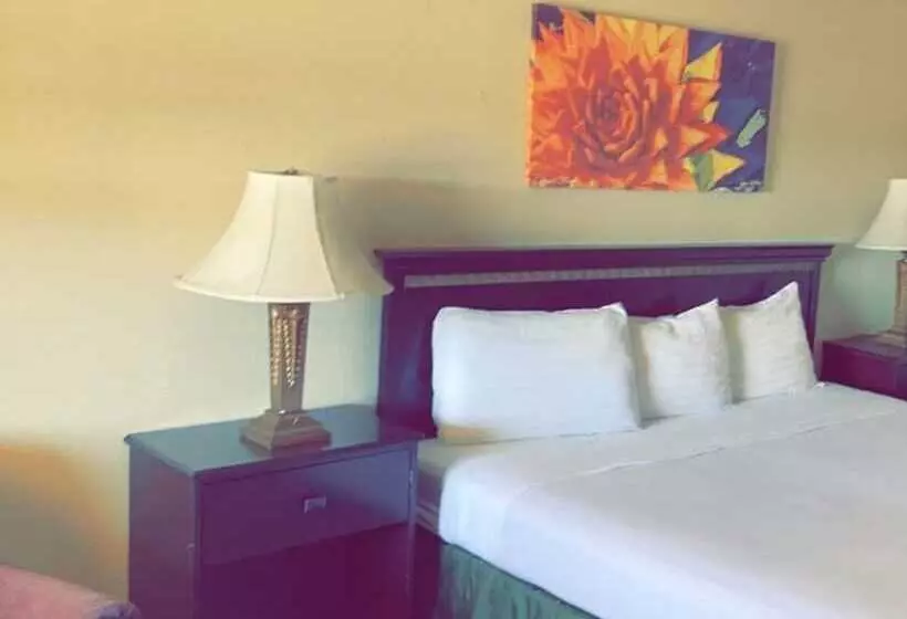 Отель Silver Queen Inn