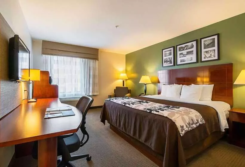 ホテル Sleep Inn & Suites