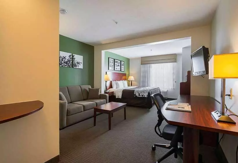 ホテル Sleep Inn & Suites
