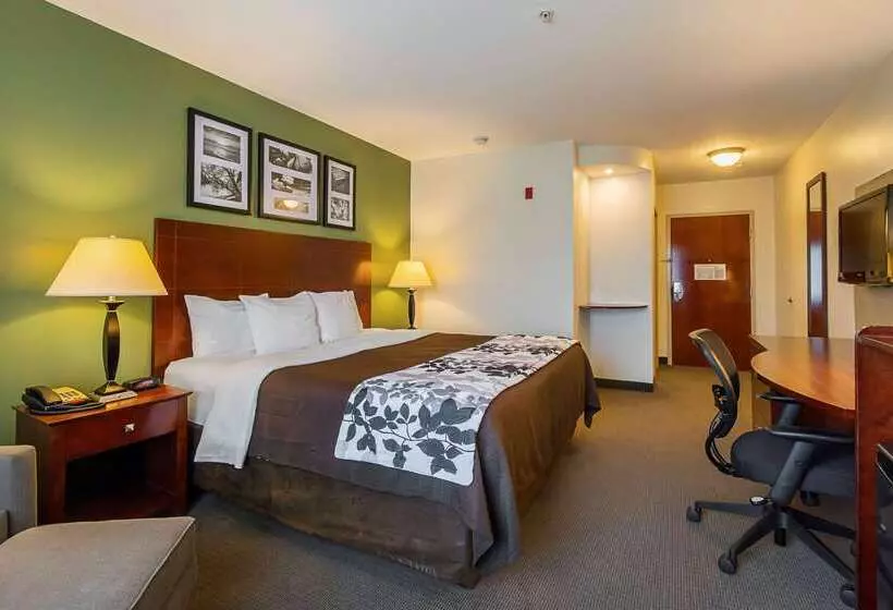 ホテル Sleep Inn & Suites