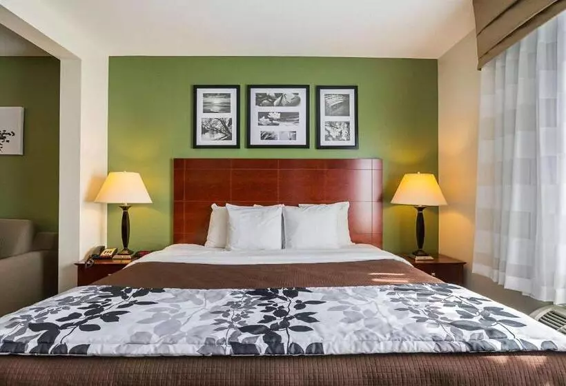 ホテル Sleep Inn & Suites
