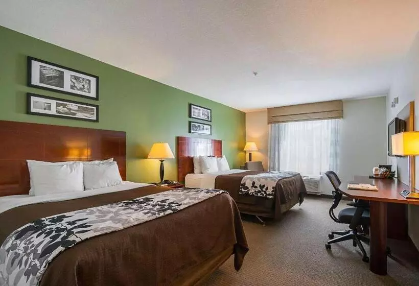 ホテル Sleep Inn & Suites