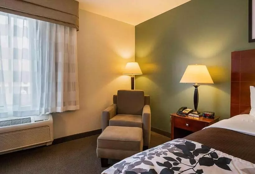 ホテル Sleep Inn & Suites