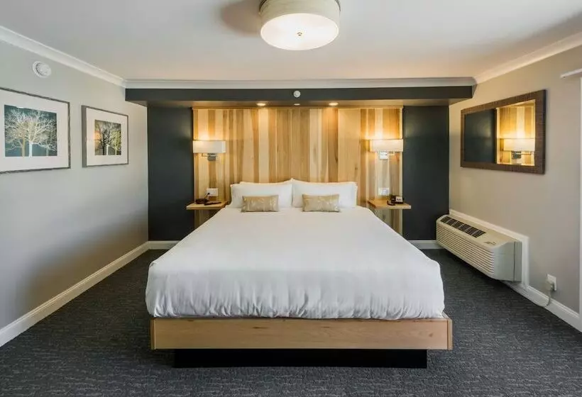 ホテル Center Harbor Inn