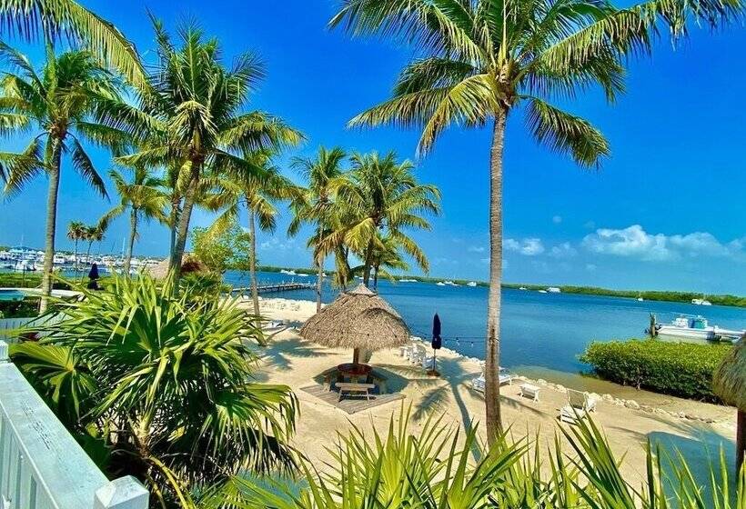 فندق Coconut Palm Inn