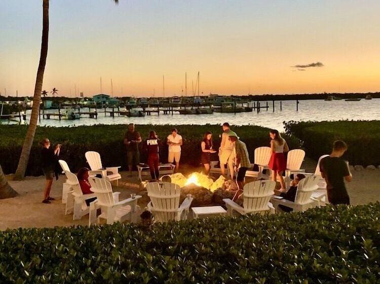 فندق Coconut Palm Inn