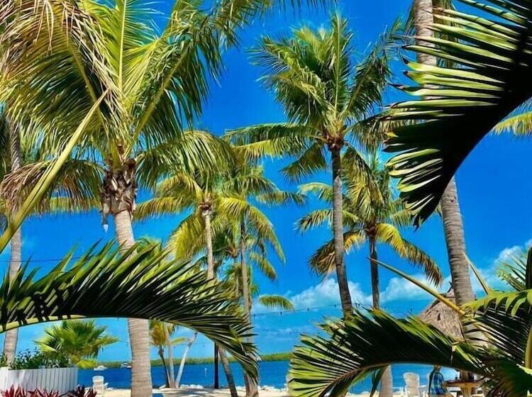 فندق Coconut Palm Inn