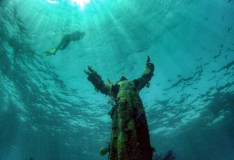 فندق Coconut Palm Inn