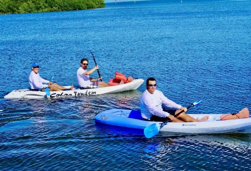 בית מלון כפרי Coconut Palm Inn