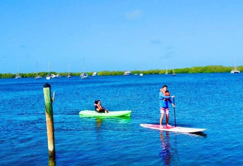 فندق Coconut Palm Inn