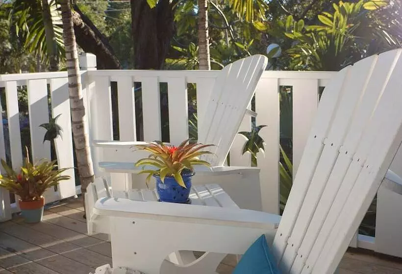 בית מלון כפרי Coconut Palm Inn