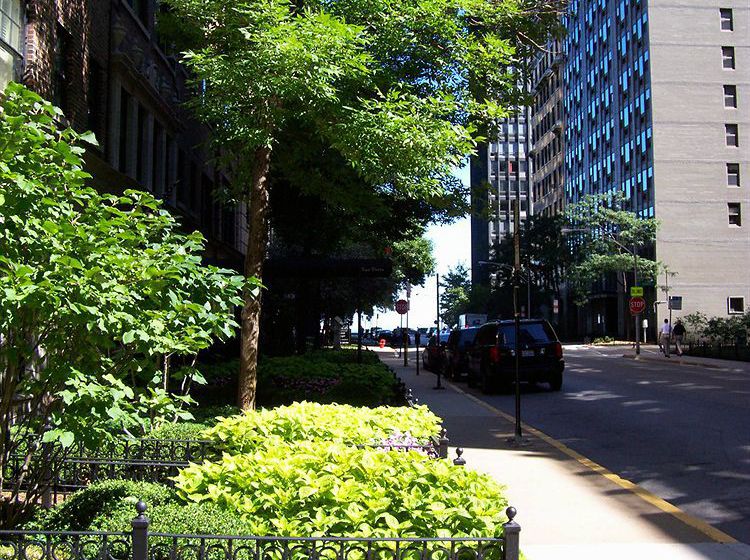 Dewitt Hotel & Suites