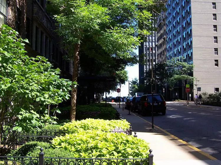 Dewitt Hotel & Suites