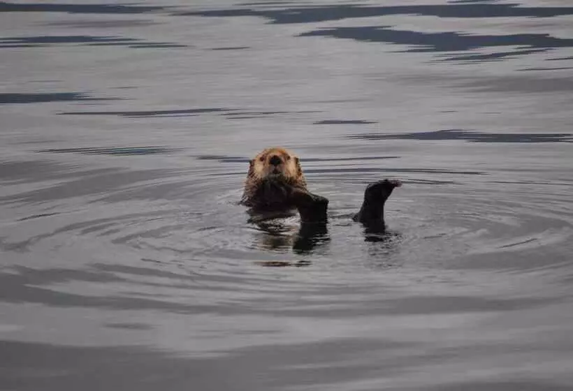 בית מלון כפרי Eagle Bay Inn