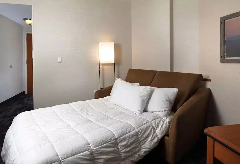 ホテル Fairfield Inn & Suites By Marriott Millville Vineland