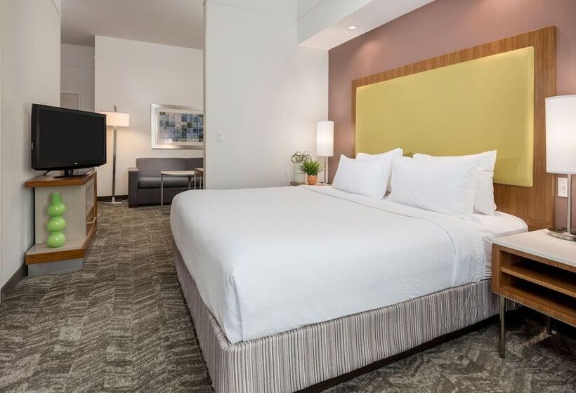 Hotelli Springhill Suites By Marriott Lafayette South At River Ranch