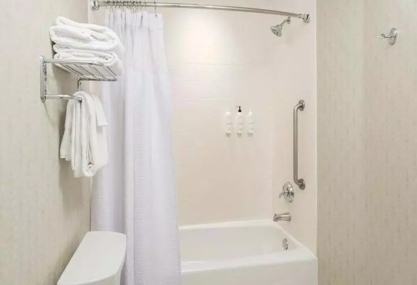 酒店 Springhill Suites By Marriott Lafayette South At River Ranch