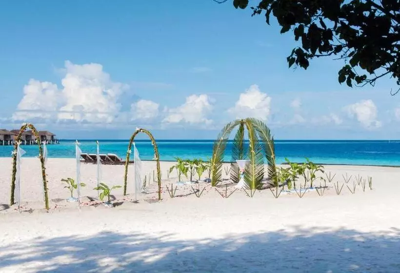 Resort Constance Moofushi Maldives All Inclusive