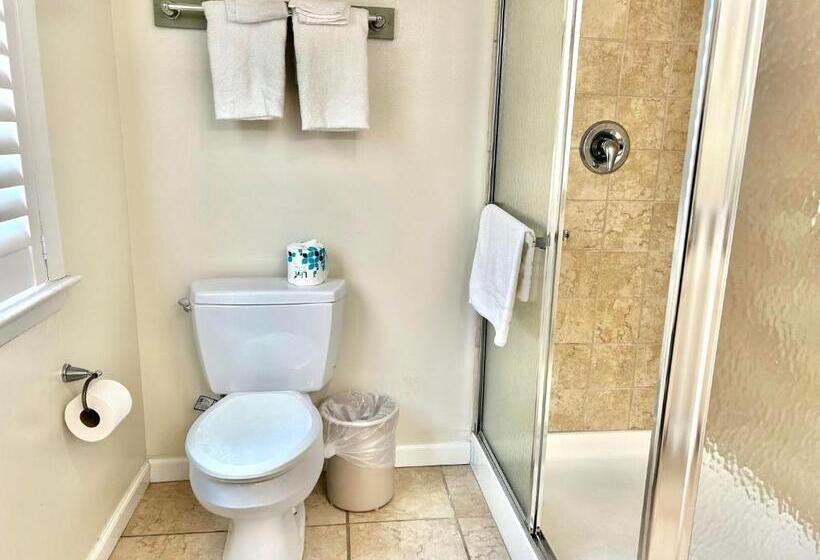 The Beach Club On Madison Avenue