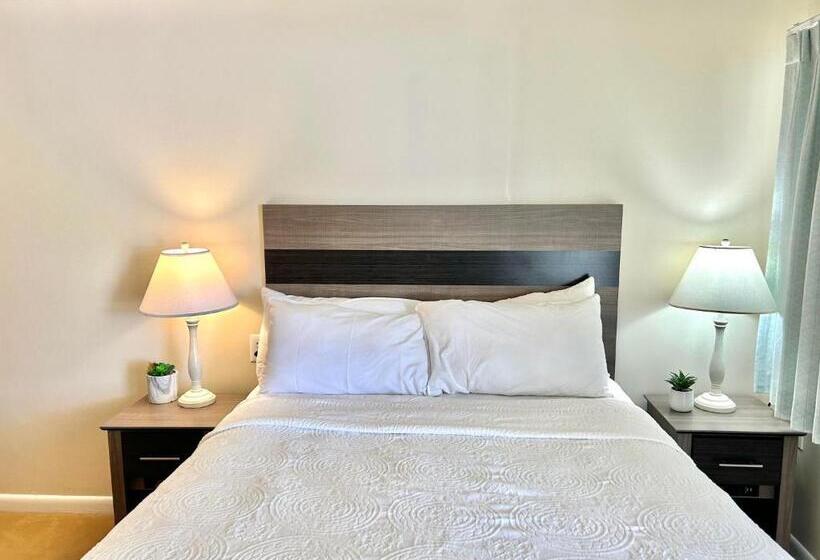 The Beach Club On Madison Avenue